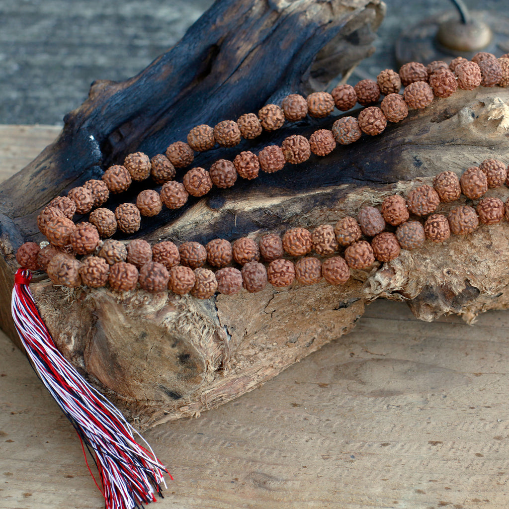 Mala Rudraksha - Naturel