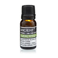 Eucalyptus - Huile Essentielle 10ml
