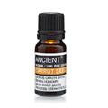 Graine de Carotte - Huile Essentielle 10ml EO-55
