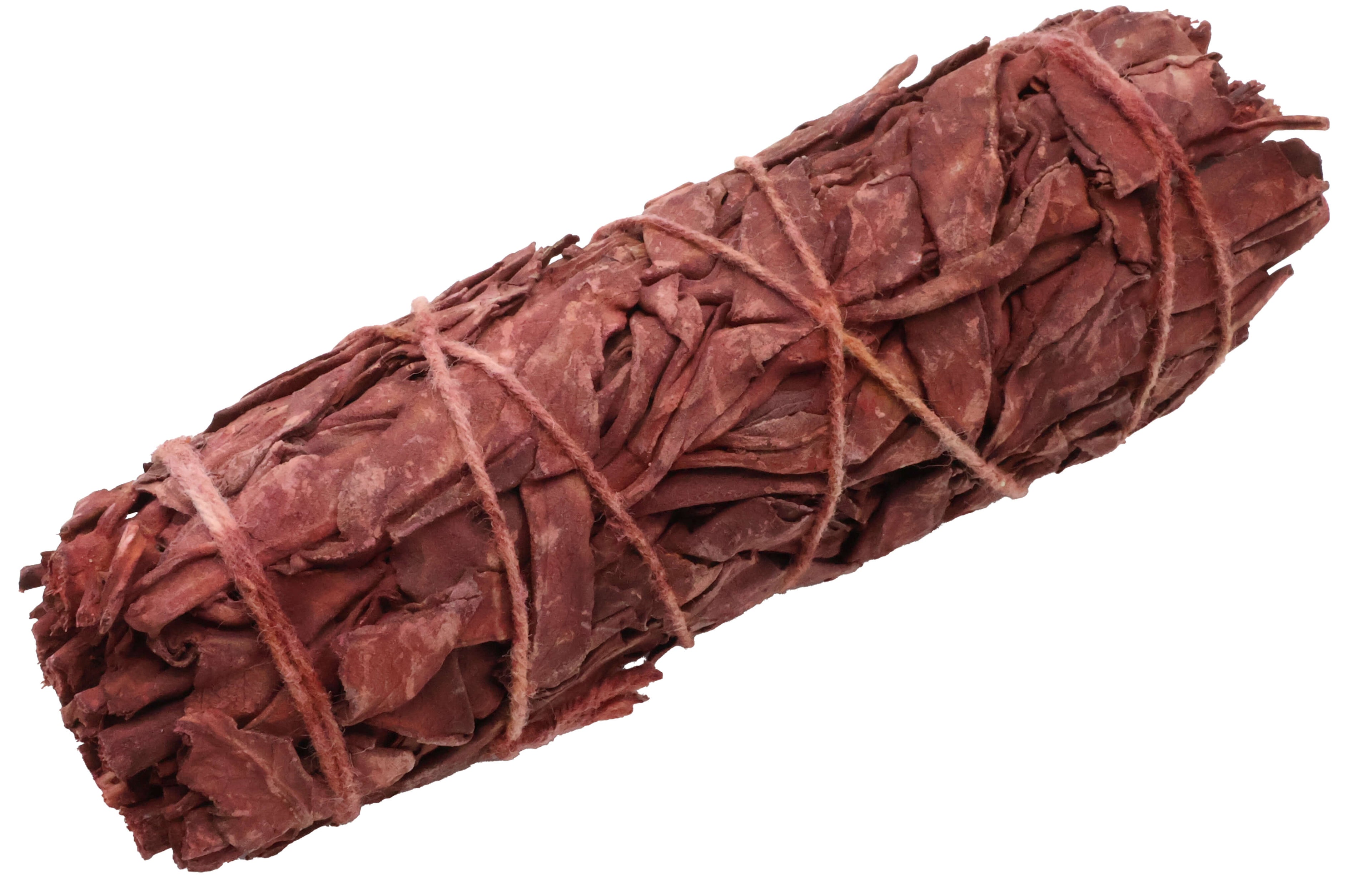 Sauge Sang de Dragon ficelle 70-80g 23cm