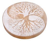 Plaque de Rechargement Sélénite- 10 cm ( modèle au choix )
