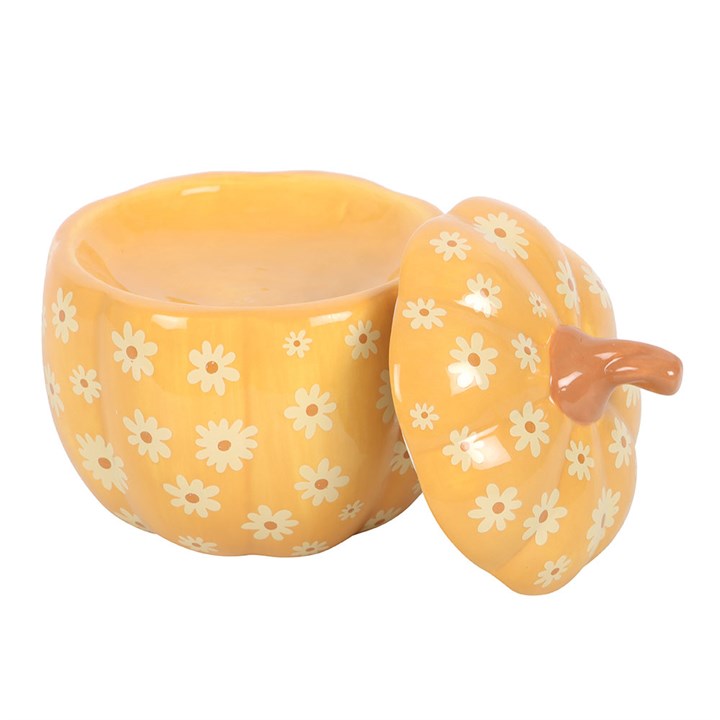 Brûleur à huile en forme de citrouille aux motifs floraux