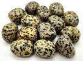 Jaspe Dalmatien 'A' roulée