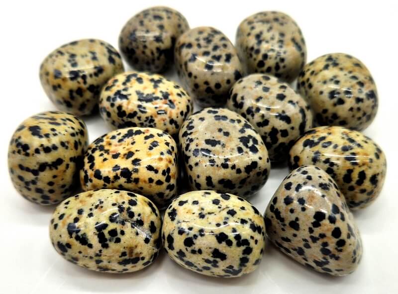 Jaspe Dalmatien 'A' roulée