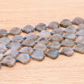 PERLES FORMES DIAMANTS 16MM LABRADORITE AB ( lot de 10 )