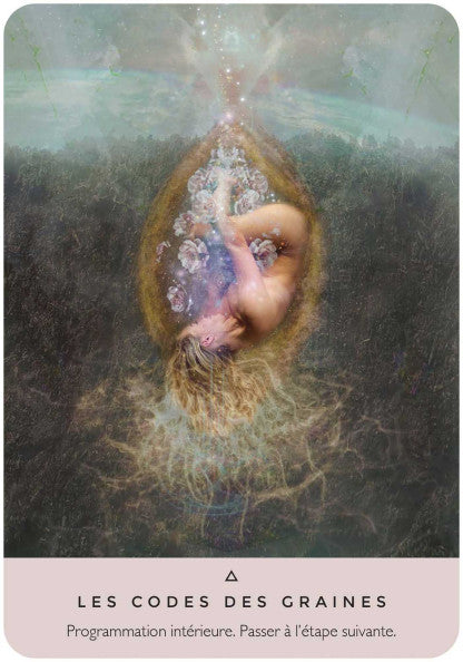L'ORACLE DE LA ROSE