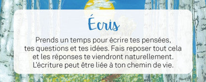 Le petit Oracle de la mission de vie