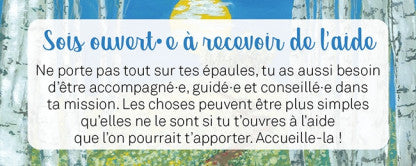Le petit Oracle de la mission de vie
