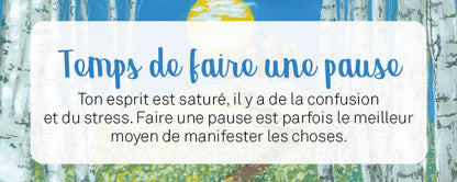 Le petit Oracle de la mission de vie