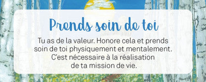 Le petit Oracle de la mission de vie