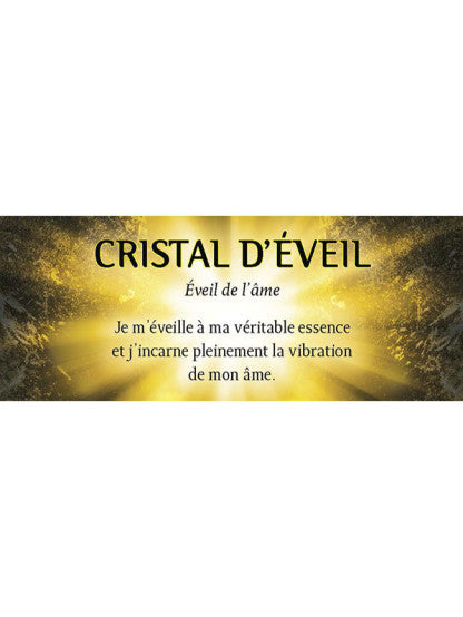 Le petit Oracle des pierres et des cristaux - Coffret