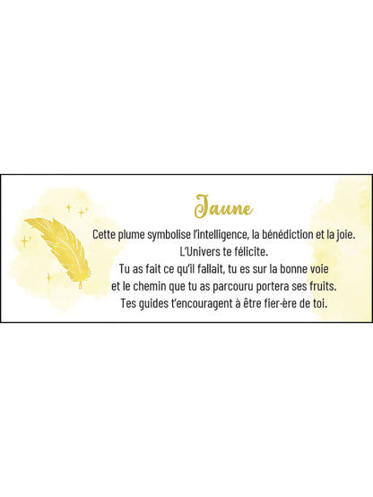 LE PETIT ORACLE DES PLUMES
