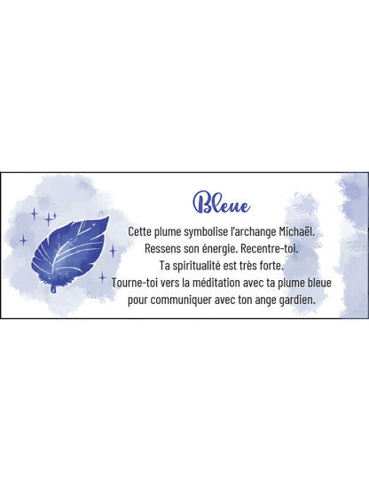 LE PETIT ORACLE DES PLUMES