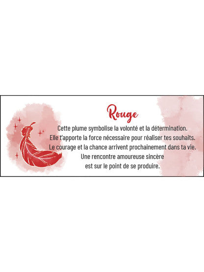 LE PETIT ORACLE DES PLUMES