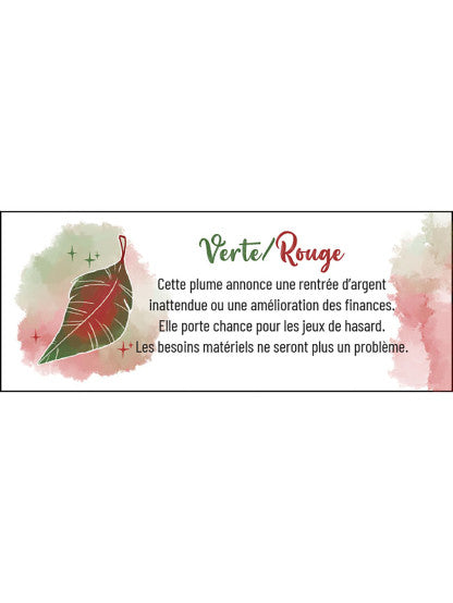 LE PETIT ORACLE DES PLUMES