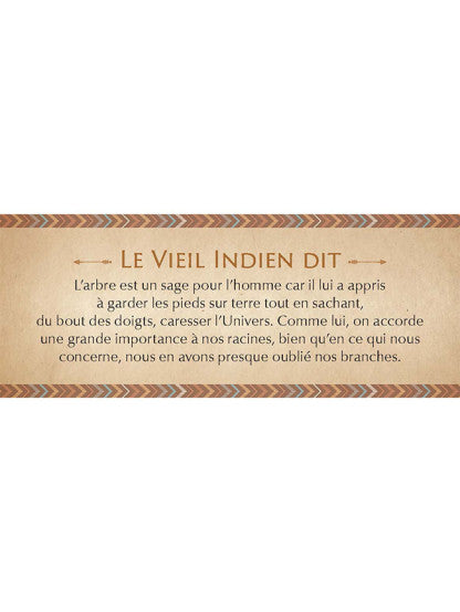 LE PETIT ORACLE DES SAGESSES AMERINDIENNES