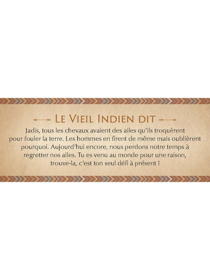 LE PETIT ORACLE DES SAGESSES AMERINDIENNES