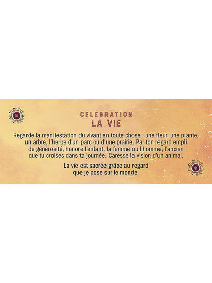 LE PETIT ORACLE DU SACRE