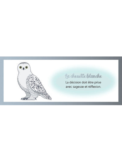 LE PETIT ORACLE MESSAGER