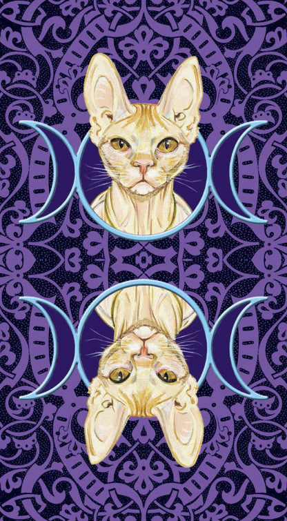 Le Tarot des chats païens