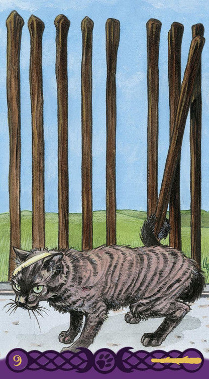 Le Tarot des chats païens