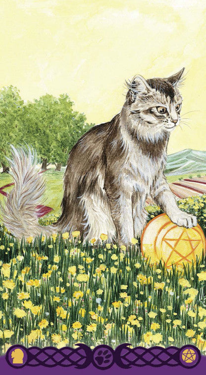 Le Tarot des chats païens