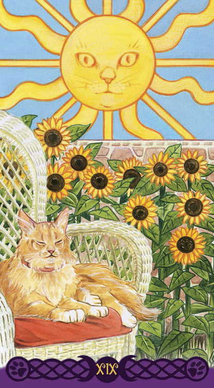 Le Tarot des chats païens