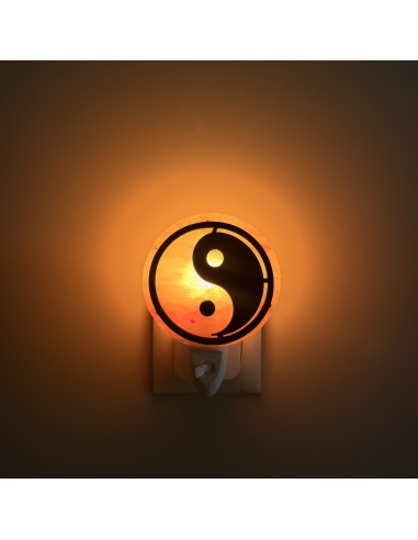Lampe de sel avec prise