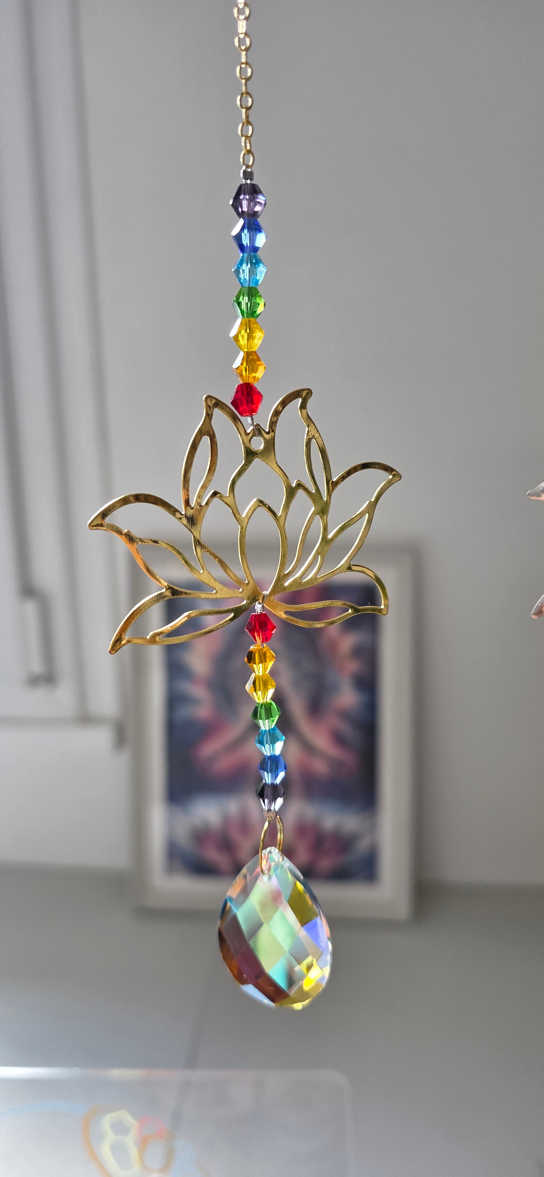 Attrape soleil Lotus