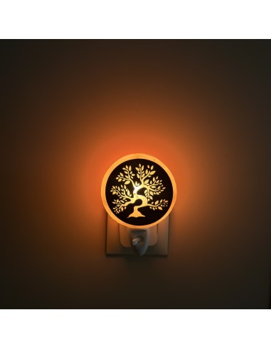 Lampe de sel avec prise