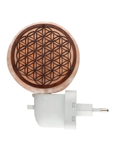 Lampe de sel avec prise