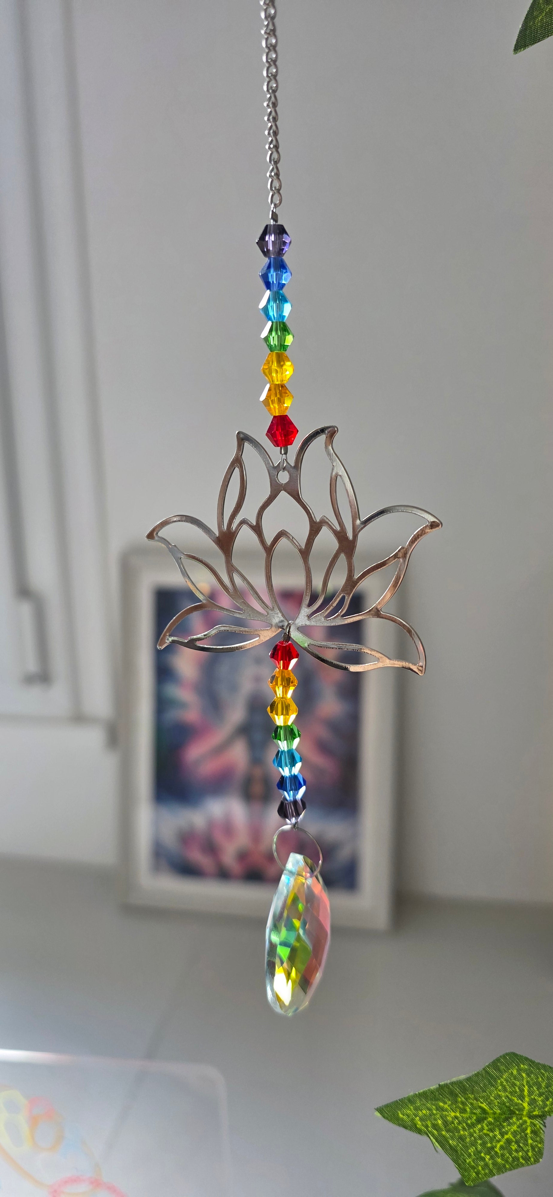 Attrape soleil Lotus