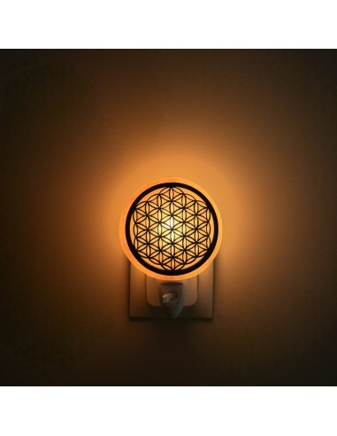 Lampe de sel avec prise