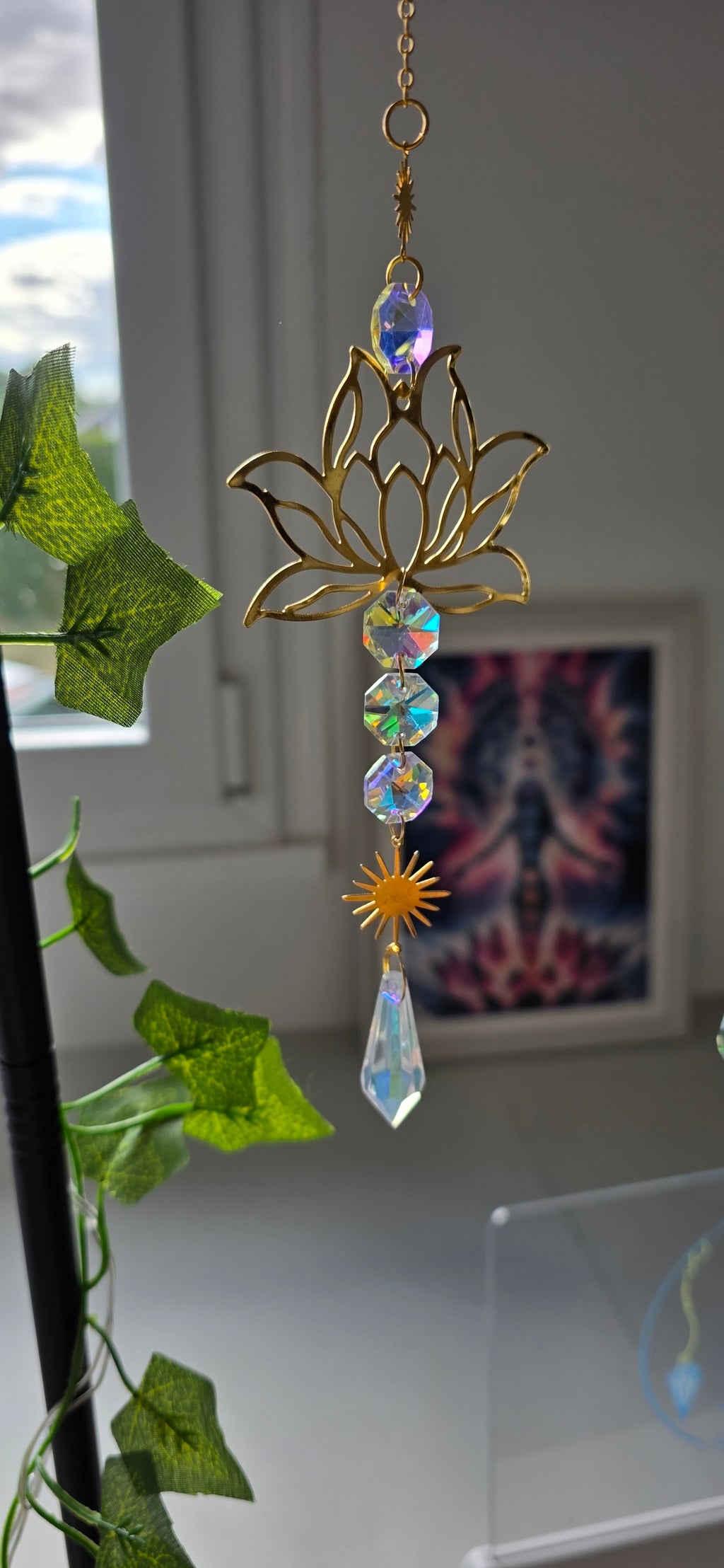 Attrape soleil Lotus