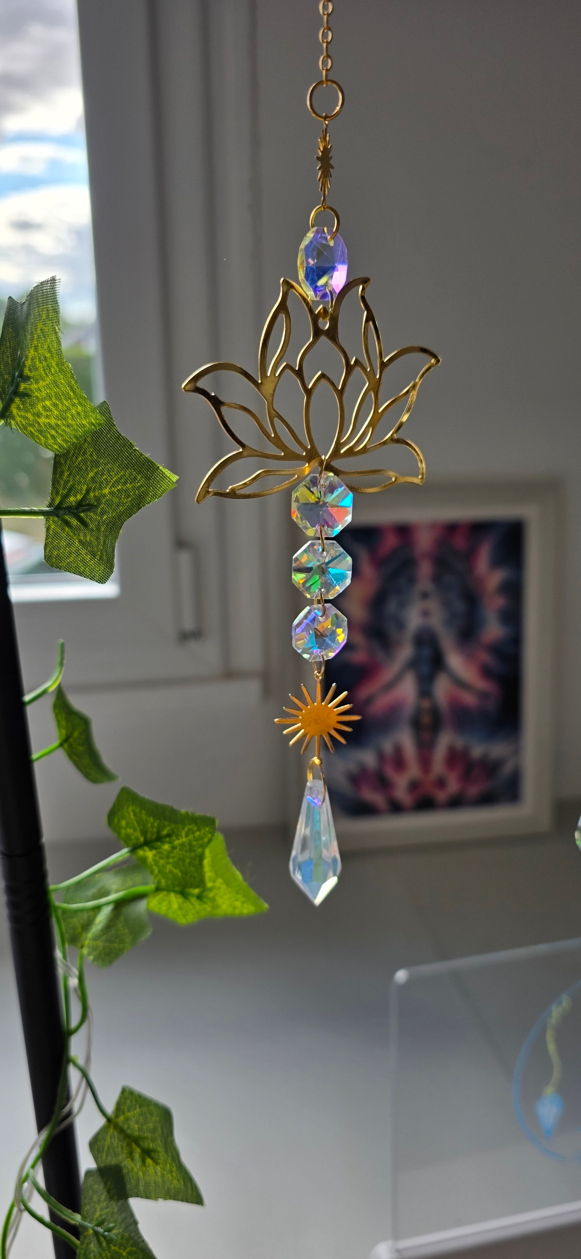 Attrape soleil Lotus
