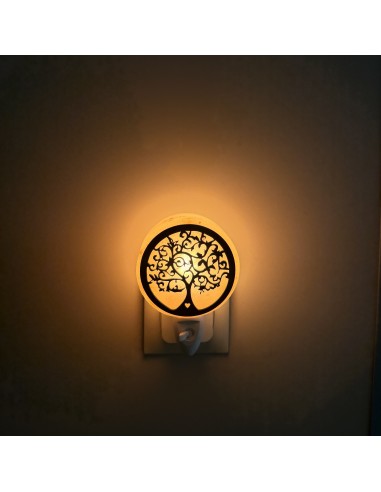 Lampe de sel avec prise