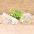 CRISTAUX TAILLÉS CRISTAL DE ROCHE AA 90 À 110G (1 PIÈCE)